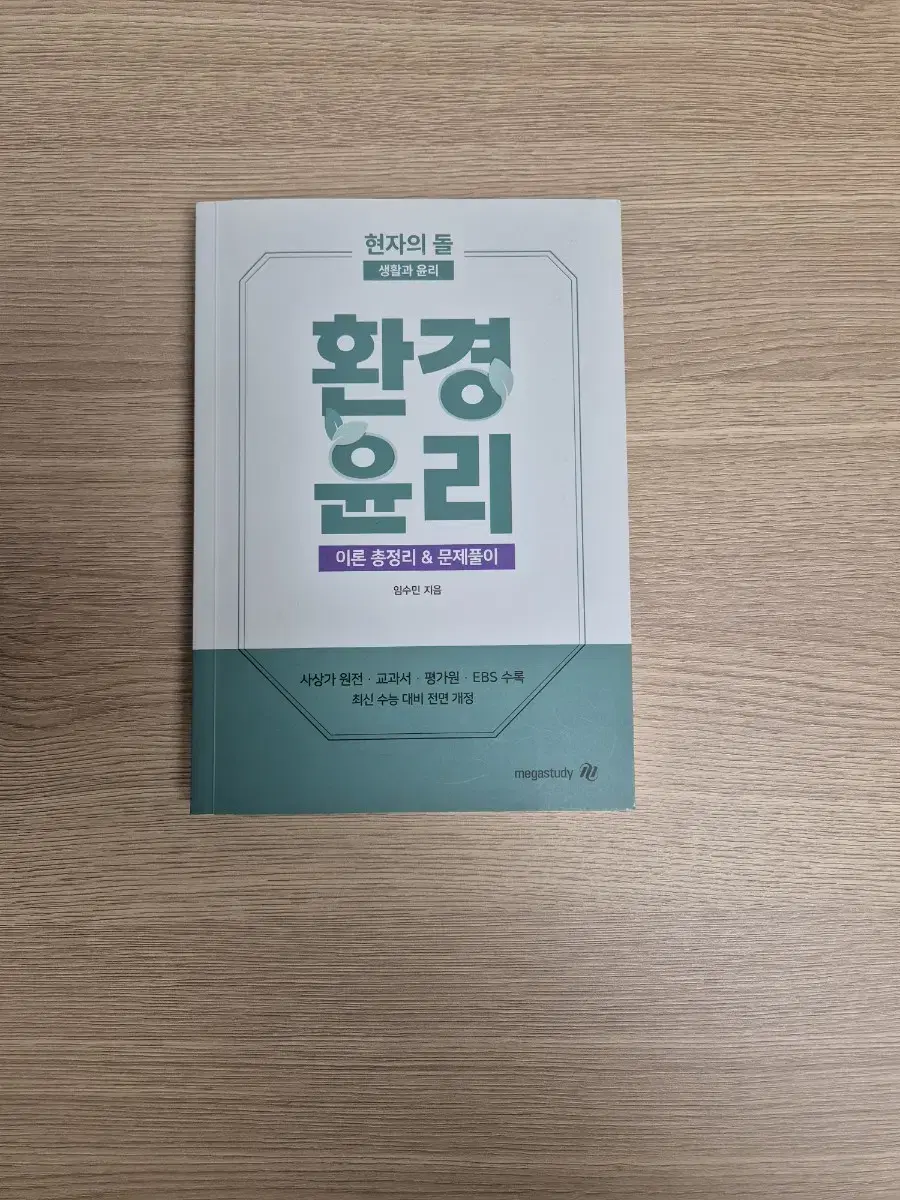 새상품 현자의돌 환경윤리 현돌